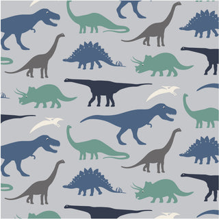 Kickee Pants Dove Dino Museum