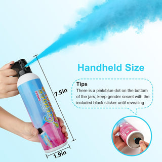 Gender Reveal Fire Extinguishers | Baby Riddle
