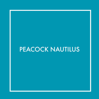Peacock Nautilus