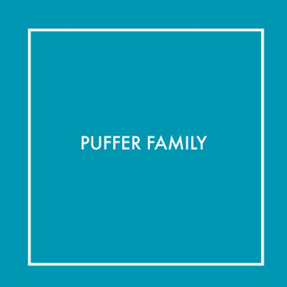 Puffer Family