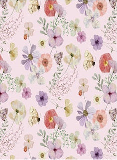 Kickee Pants Shrinking Violet Pressed Flowers