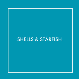 Shells & Starfish