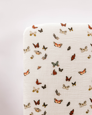 Clementine Kids Girl's Crib Sheet - Butterfly Migration