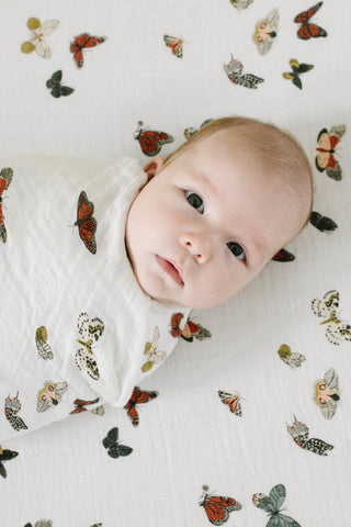 Clementine Kids Girl's Crib Sheet - Butterfly Migration