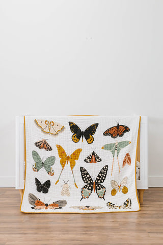 Clementine Kids Girl's Quilt Blanket - Butterfly Collector