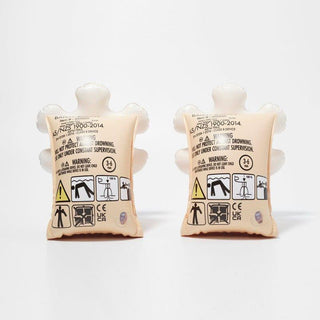 Kids Inflatable Arm Bands - Multi Princess Swan Sunny Life