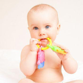 The Ultimate Guide to Teething Charts: Understanding Your Baby's Milestones - Baby Riddle
