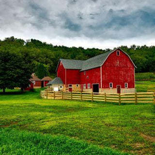 A Field Trip To The Farm: Why Every Kid Should Visit a Farm - Baby Riddle