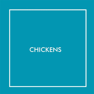 Chickens | Baby Riddle