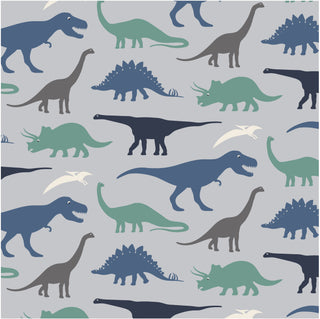 Kickee Pants Dove Dino Museum