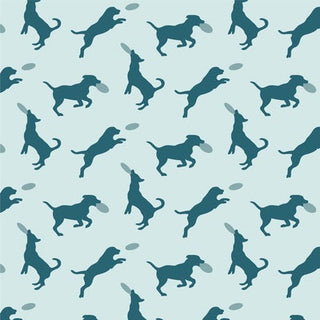 Kickee Pants Fresh Air Frisbee Labs