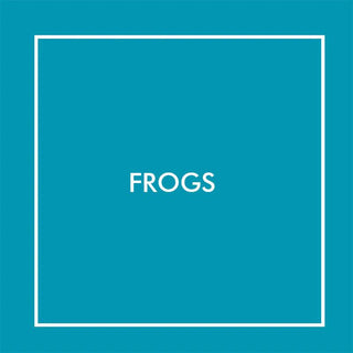 Frogs | Baby Riddle