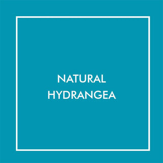 Natural Hydrangea | Baby Riddle