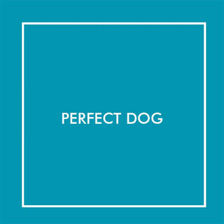 Perfect Dog | Baby Riddle