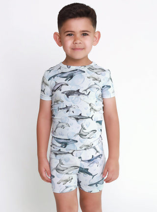 Posh Peanut Sharkly | Baby Riddle