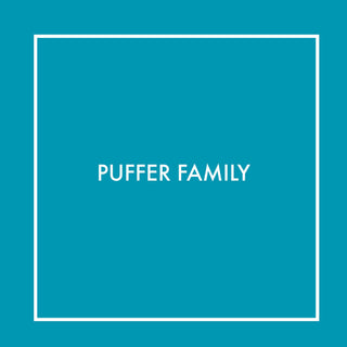 Puffer Family | Baby Riddle