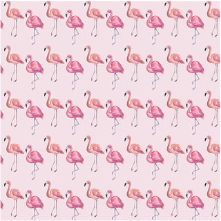 Kickee Pants Shrinking Violet Flamingo