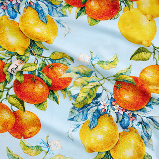 Posh Peanut Lucia (Citrus)