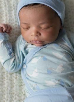 Spring Sky Stork | Baby Riddle