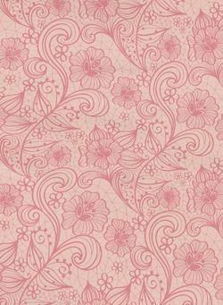 Kickee Pants Peach Blossom Lace | Baby Riddle
