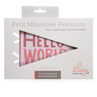 Lucy Darling Blushing Meadow Petit Milestone Pennant | Baby Riddle