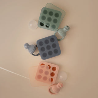 Fresh Food Feeder Freezer TrayBaby Food TrayMushieColor: Blush