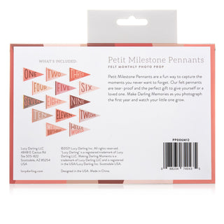 Lucy Darling Blushing Meadow Petit Milestone Pennant | Baby Riddle