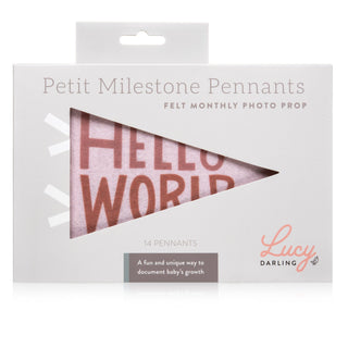 Lucy Darling Mountain Fields Petit Baby Milestone Pennant | Baby Riddle