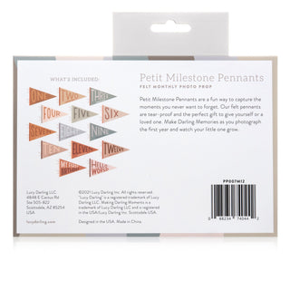 Lucy Darling Mountain Fields Petit Baby Milestone Pennant | Baby Riddle