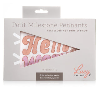 Lucy Darling Flower Child Petit Milestone Pennant | Baby Riddle