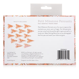 Lucy Darling Flower Child Petit Milestone Pennant | Baby Riddle