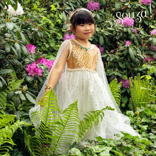 Dorianne Gold Fairy Dress for Kids - Carnival & Festive Use - 5-7 yrs Speedy Monkey LLC