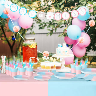 Gender Reveal Party Supplies Kit Baby Riddle