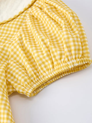 Yellow Goose Embroidered Smocked Plaid Dress Dress Rylee Faith Designs Size: 2