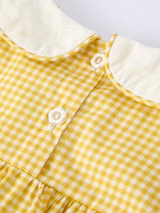 Yellow Goose Embroidered Smocked Plaid Dress Dress Rylee Faith Designs Size: 2