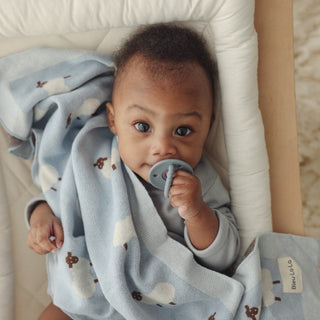 Sheep Knit Receiving Baby Blanket Bleu La La Color: Sheep - Grey