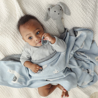 Luxury Knit Llama Swaddle Baby Blanket Baby Blankt Bleu La La Color: Llama - Pink