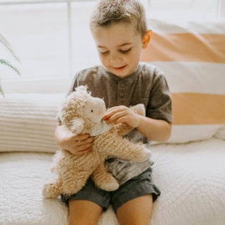 Bunnies By the Bay Shep the Sheep | Baby Riddle