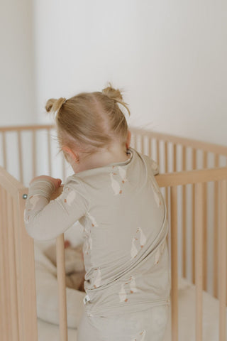 Bamboo Two Piece Pajamas | Silly Goose Pajamas forever french baby Size: 2/3 Years