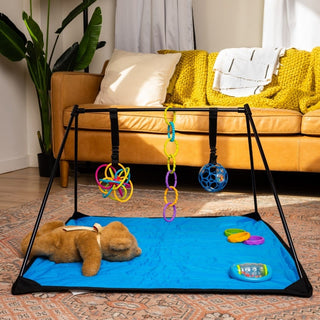 Adventure Ready Baby Play Mat A to Z Adventure Gear