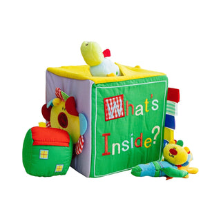 Baby Surprise Box What's Inside Box with Colorful Sensory Baby Toys Toy Genius Babies Toys