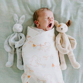 Bunnies By the Bay Skipit Puppy Silly Buddy | Baby Riddle