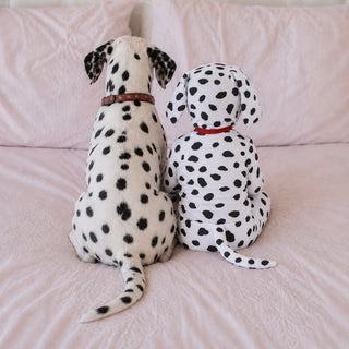Dalmatian Puppy Costume