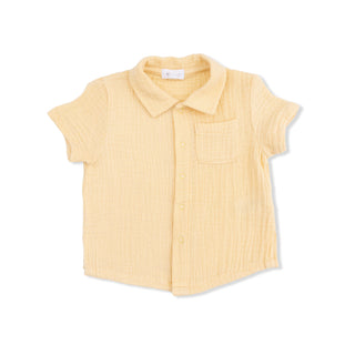 Polo Button Up with Casual Short - Micro Gingham Blue Blizzard 827M Angel Dear Size: 6-12M