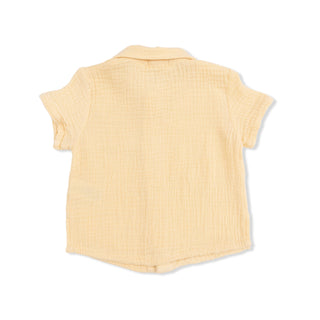 Polo Button Up with Casual Short - Micro Gingham Blue Blizzard 827M Angel Dear Size: 6-12M