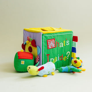 Baby Surprise Box What's Inside Box with Colorful Sensory Baby Toys Toy Genius Babies Toys