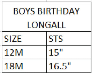 Baby Boy First Birthday Smocked Birthday Jon Jon Boy Overall Seven Lantern Lane Size: 12M