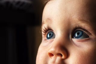 Baby eye color calculator graphic for predicting eye color based on genetic factors