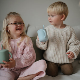 Silicone Training Cup + StrawSippy CupsMushieColor: Dinosaurs