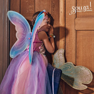 Felicity Fairy Costume Dress and Wings Set (Pink & Blue) - Role-Play for Children (3 Sizes) Dress up Girls, Fairies Speedy Monkey LLC Size: 3-4 years